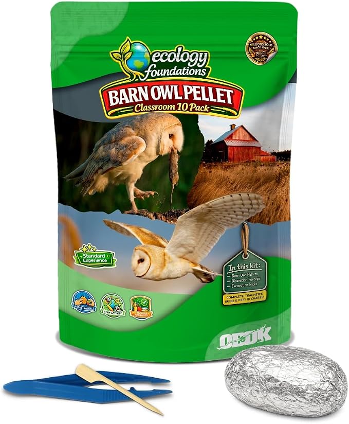 Barn Owl Pellets for Dissection for Classrooms, Medium 10-Pack Kit by OBDK | Forceps, picks and instructor guide included, life science and ecology, bone sorting chart, hands-on lab activity