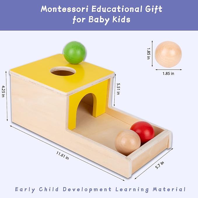 Adena Montessori 4 in 1 Wooden Play Kit for Babies 6-12 Months | Object permanence box, color drop, carrot, coin box, ball drop for hand eye coordination, fine motor, cognitive skills