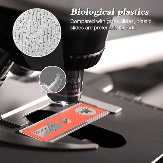 48pcs Microscope Slides with Specimens for Kids – Kids Prepared Stereo Microscope Slides for Stereo Microscope and Other, Animals Insects Plants Flowers Specimens | Prepared Stereo Microscope Slides, Animals, Insects, Plants & Flowers Specimens