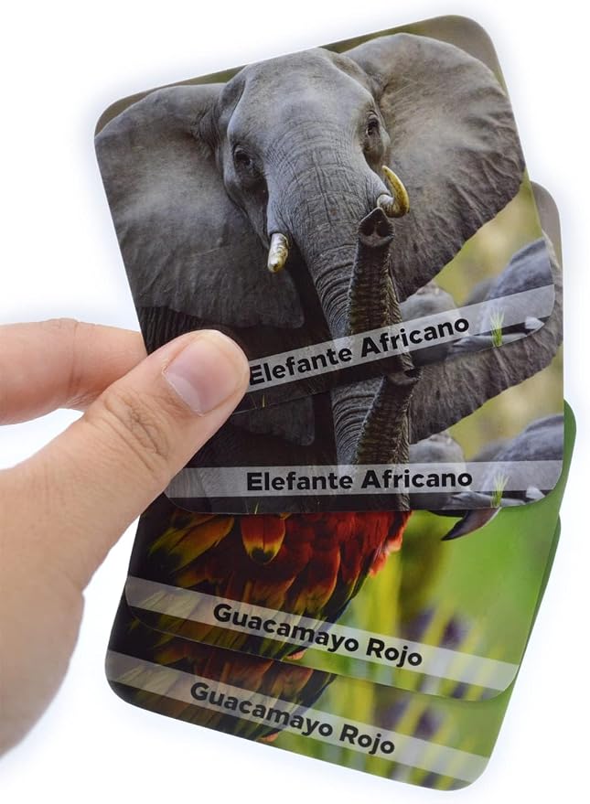Menique Wild Animals Memory Matching Game – Spanish Edition – 80 Cards (40 Pairs) with Real Photos – Educational Game in Spanish for Kids and Adults – Includes Booklet