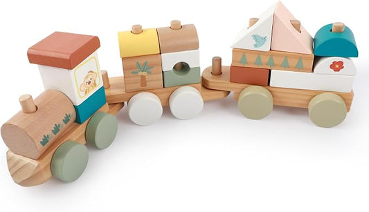 FReniland Wooden Montessori Train Set, 18PCS Wooden Building Blocks Train Toy for Toddlers 1-3, Stacking Learning Toy, Fine Motor Skills Preschool Educational Gift for Boys Girls