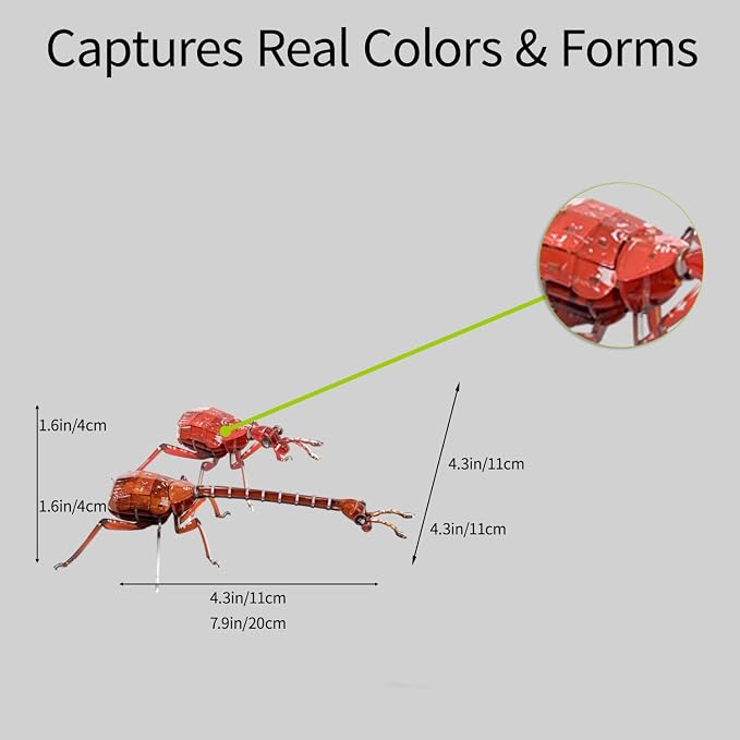 3D Acrylic Insect Puzzle DIY Bug Model Kit Animal STEM Gift | Building Kits Crafts Figurine Sculpture Nature Decoration Educational Display Toys for Kids and Adults (Giraffe Weevil)