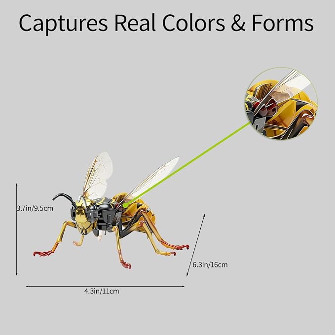 3D Acrylic Insect Puzzle DIY Bug Model Kit Animal STEM Gift | Building Kits Crafts Figurine Sculpture Nature Decoration Educational Display Toys for Kids Teens and Adults (Wasp)