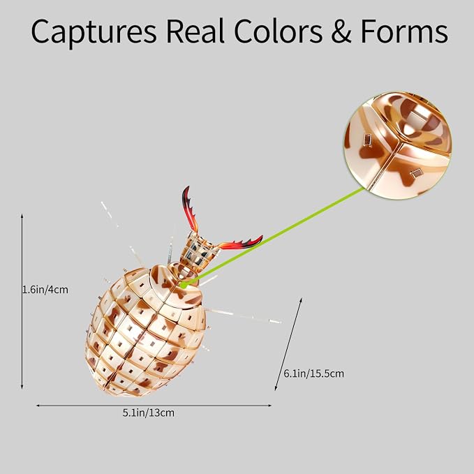 3D Acrylic Insect Puzzle DIY Bug Model Kit Animal STEM Gift | Building Kits Crafts Figurine Sculpture Nature Decoration Educational Display Toys for Kids Teens and Adults (Ant Lion)
