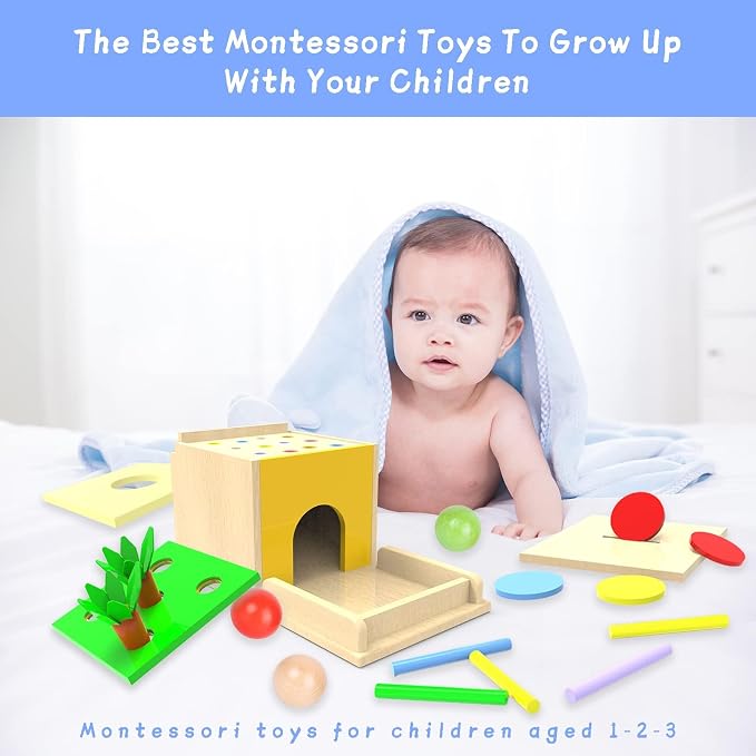 Adena Montessori 5 in 1 Wooden Play Kit for Babies 6-12 Months | Object permanence, drop, carrot, coin - builds motor skills and hand-eye, durable, colorful self-play.
