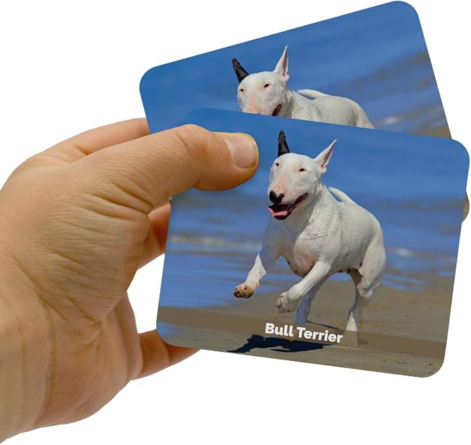 Menique – Dogs Memory Matching Game – Bilingual – 80 Cards (40 Pairs) with Real Photographs – Educational Game for Kids and Adults