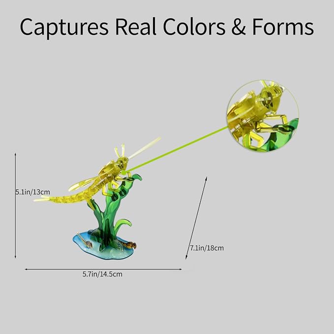 3D Acrylic Insect Puzzle DIY Bug Model Kit Animal STEM Gift | Building Kits Crafts Figurine Sculpture Nature Decoration Educational Display Toys for Kids Teens and Adults (Mayfly)