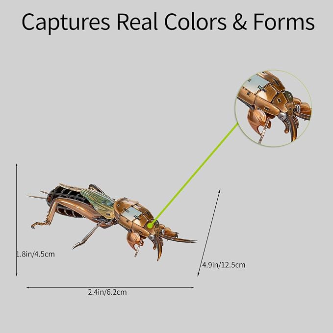 3D Acrylic Insect Puzzle DIY Bug Model Kit Animal STEM Gift | Building Kits Crafts Figurine Sculpture Nature Decoration Educational Display Toys for Kids Teens and Adults (Mole Cricket)