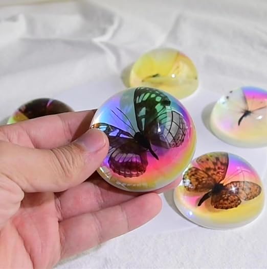 Real Butterfly Specimen in Resin,Insect Specimens for Education | Real resin butterfly & insect specimens. Great for education, biology study, insect lovers.