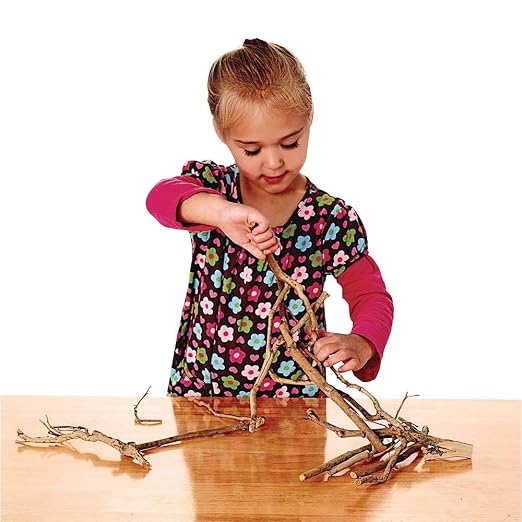 Branches, Excellerations Loose Parts, Branches for Sorting and Counting, upcycled Materials, Educational Toys for Kids, Natural Branch cuttings, Sticks | Ages 3+, PreK+, Upcycled Materials, Educationals for Kids, Natural Branch Cuttings, Sticks