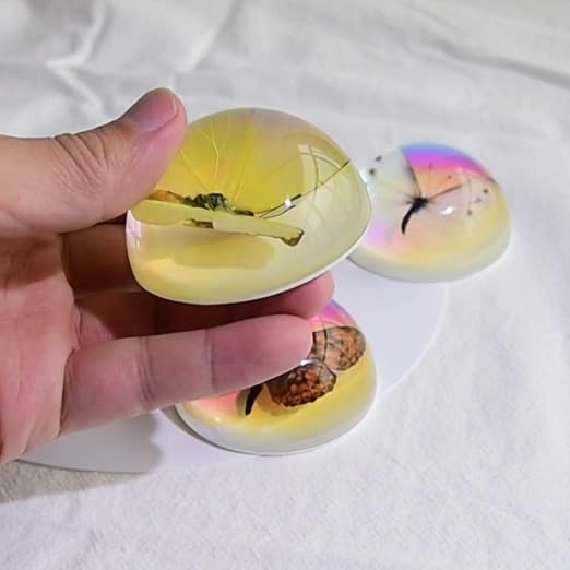 Real Butterfly Specimen in Resin,Insect Specimens for Education | Real resin butterfly & insect specimens. Great for education, biology study, insect lovers.