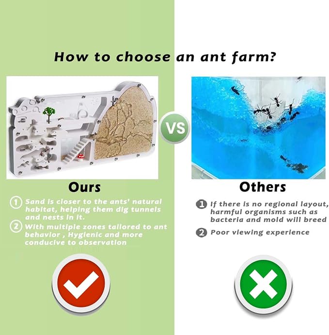 Ant Farm Castle - Large Viewing Area - Care for Live Ants - Ant Colony Observation Kits with Sand Habitat - Educational Science Gifts for Boys, Girls - Ant Farms for Kids, Adults, Student (Yellow)