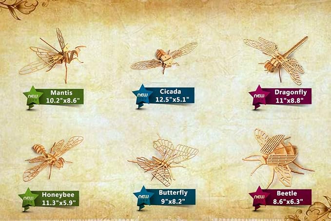 3D Wooden Insect Puzzle - 6 Piece Set Insect Animal Skeleton Assembly Model Puzzle - DIY Wooden Crafts 3D Puzzle - Wood STEM Gifts for Adults & Teens Birthday Gifts Christmas