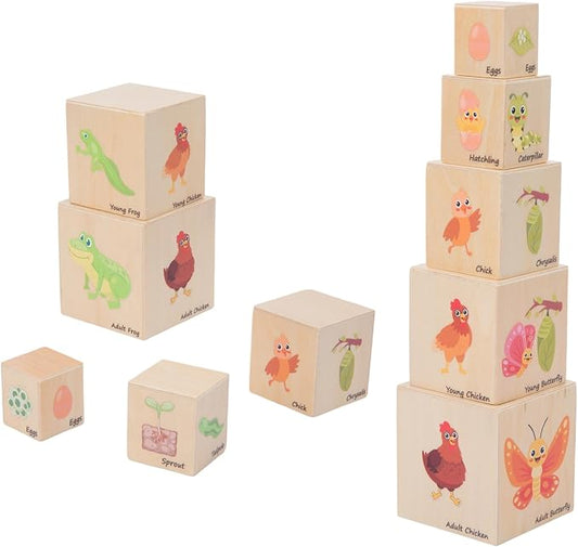 Wooden Life Cycle Nesting Blocks, Montessori Preschool Learning Toy | For Animal Life Cycles, Stacking & Sorting Blocks, Nesting Cube Boxes,Educational Science Toy for Kids 3+ (5 Pcs)