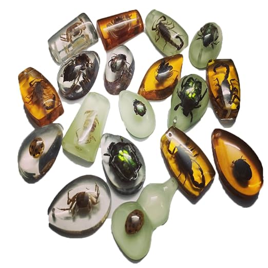 18 pcs Insect Amber Fossils, BOSOIRSOU Fossil Pendants, Different Insect Specimen, Bug Preserved in Resin, Educational and Scientific Amber Collections - Random Patterns