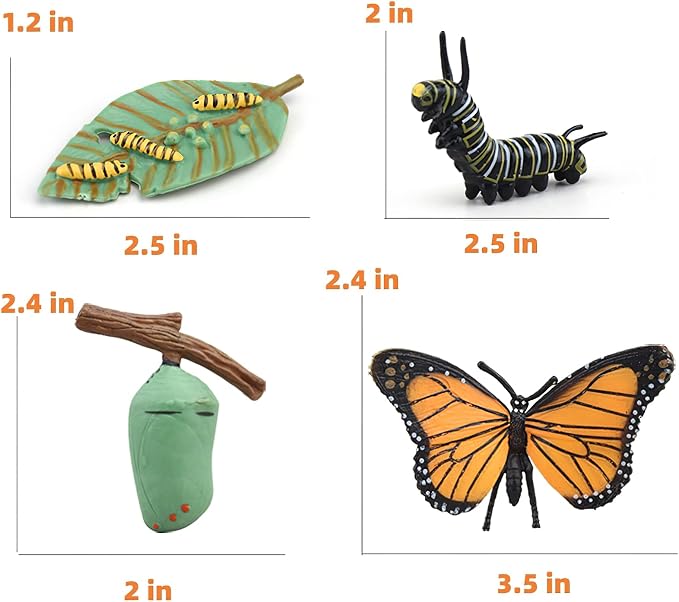 Montessori Life Cycle Animal Figures with Flash Cards, Plastic Insects Monarch Butterfly Kit Caterpillar Toy for Kids, Realistic Animal Figurines (Butterfly)