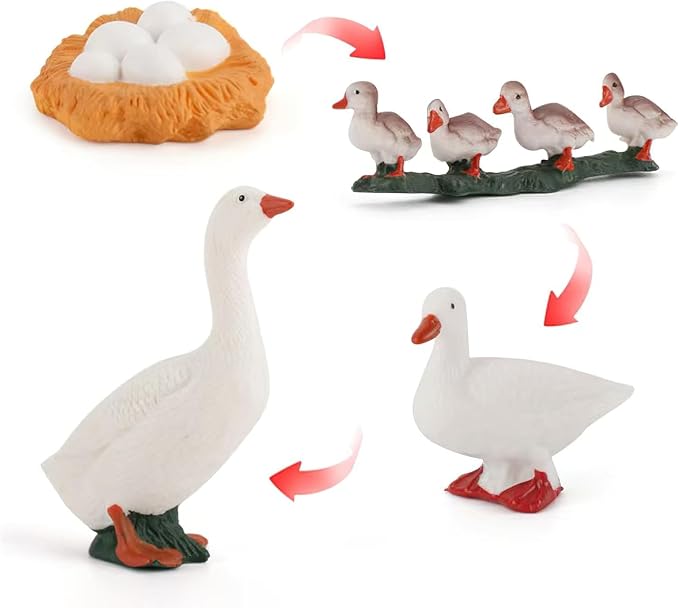 Montessori Life Cycle Animal Figurines Learning & Education Toys, Plastic Insect Life Cycle Toys, Preschool Learning Activities (Hen Goose Duck)
