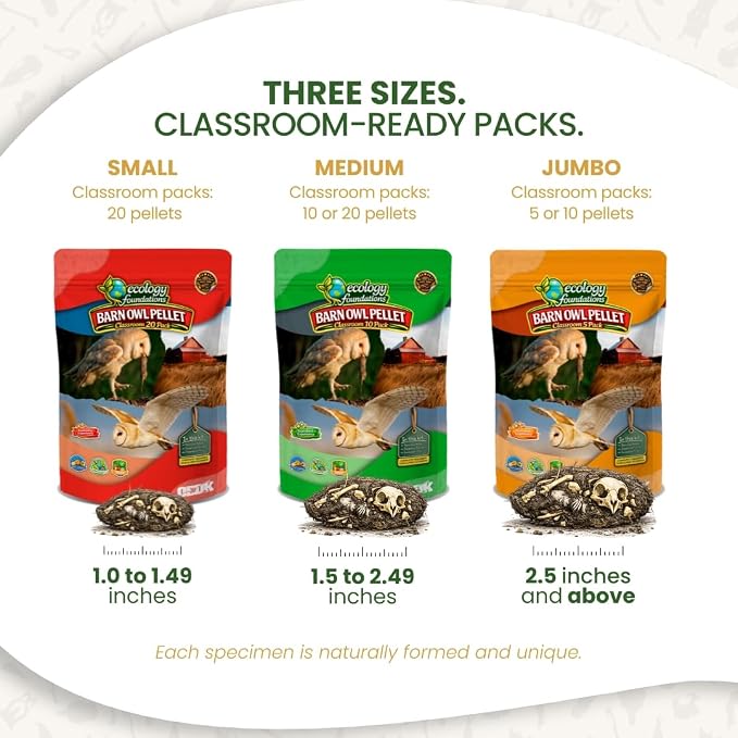 Barn Owl Pellets for Dissection for Classrooms, Medium 20-Pack Kit by OBDK | Forceps, picks and instructor guide included, life science and ecology, bone sorting chart, hands-on lab activity
