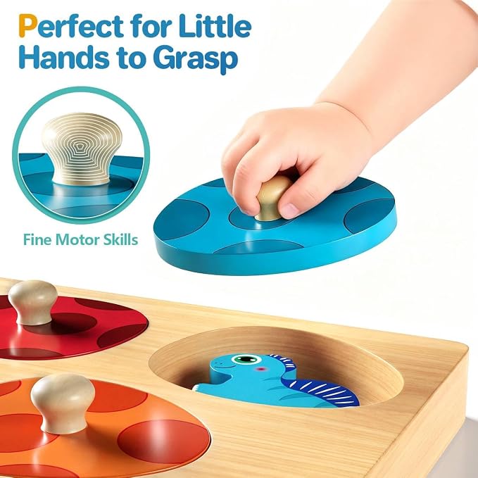 Montessori Toys for 1 Year Old Boys Girls Gifts: Wooden Shape Sorter & Color Match Baby Puzzles 12-18 Months - Dinosaur Matching Eggs Peg Puzzle for 1 2 Year Old Toddler Learning Activities