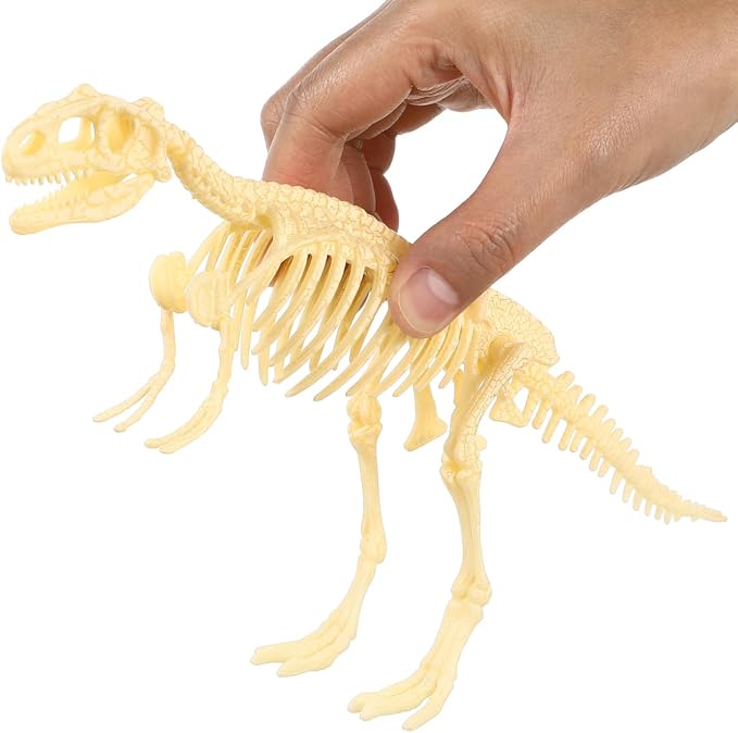NUOLUX 3Pcs 4D Dinosaur Fossil Skeleton Toys DIY for Kids Fossil Skeleton Figure