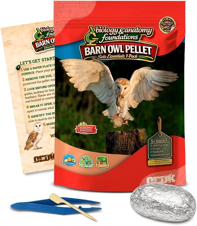 Barn Owl Pellets for Dissection, Solo Essentials Kit, Small 1-Pack by OBDK | Single-student set, forceps, picks and bone chart included