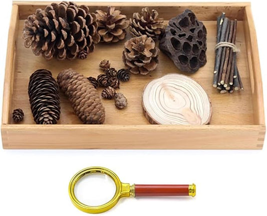 Montessori Nature Exploration Kit, Kids Outdoor Sensory Science Toy