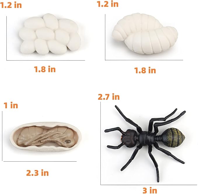 Montessori Life Cycle Animal Figures with Flash Cards, Realistic Animal Figurines Toy, Educational Matching Game for 3+ Year Old Kids (Ant)