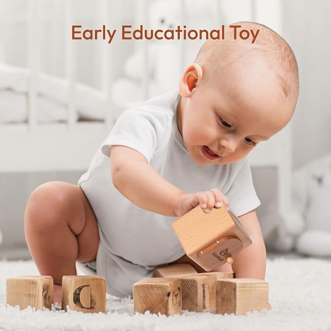 Woodtoe Montessori Coin Box, Object Permanence Toy for Toddlers Ages 1-3 | Color Sorting Game, Educational Sensory Activity, Develops Fine Motor Skills, Early Development Gift for 1+ Year Old Boy Girl