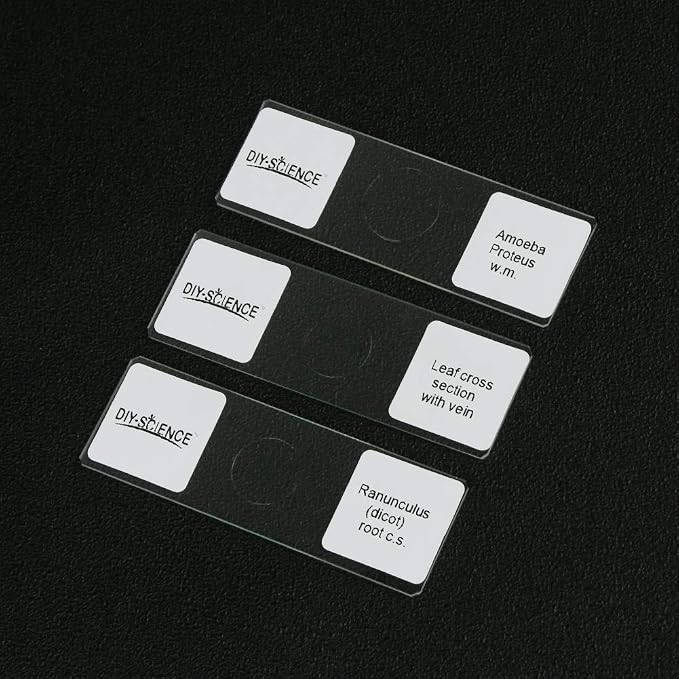 Prepared Microscope Slides Set for Apologia Biology, Pack of 16pcs Specimens Specifically for Biology Course (Apologia Slides)
