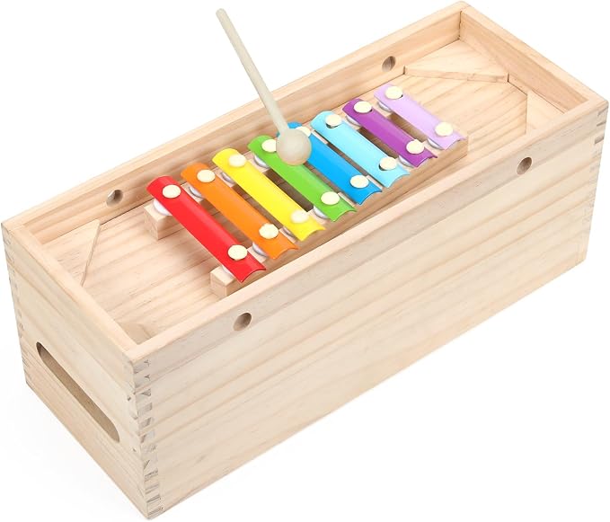 Montessori Toys,Solid Wood Building Blocks and Shapes,Xylophone Set | Montessori Wooden Lacing Beads,Wooden Storage Box for Kids Ages 36 Months+,Toddler Block Set and Converts into a Pull Car