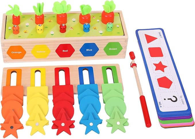 Montessori for Kids, Magnetic Color Shape Sorting Matching Box | Early Learning Toys, Wooden Educational Toy, Fine Motor Skills Toys for Boys Girls