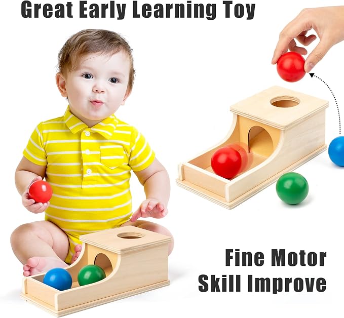 Montessori Toys for 1 Year Old, Ball Drop Toy, Object Permanence Box | Wooden Soft Sound & Fine Motor Skills Baby Ball Drop Play Sorting Toys for 6 8 9 12 Months Toddlers, Infant Early Age Toy