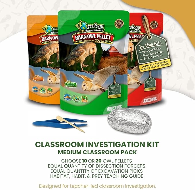 Barn Owl Pellets for Dissection for Classrooms, Medium 20-Pack Kit by OBDK | Forceps, picks and instructor guide included, life science and ecology, bone sorting chart, hands-on lab activity