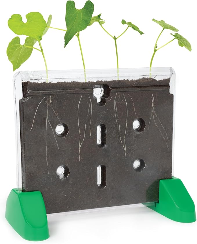 Educational Insights Sprout & Grow Window - See-Through Sprouts Growing Kit, Kids Gardening Set, Kid-Friendly Science Kits, Root Viewer, Gardening Kit for Kids, Indoor Classroom Planter, Ages 5+