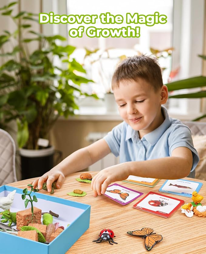 JoyCat Life Cycle Toys for Kids, 7 Animal and Plant Sets with Cards | Explore seven animal and plant life cycles with 37 cards, realistic figures, a double-sided board and storage box