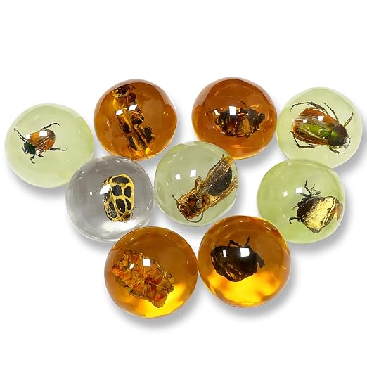 9 pcs Insect Amber Fossils, BOSOIRSOU Fossil Pendants, Different Insect Specimen, Bug Preserved in Resin, Educational and Scientific Amber Collections - Random Patterns