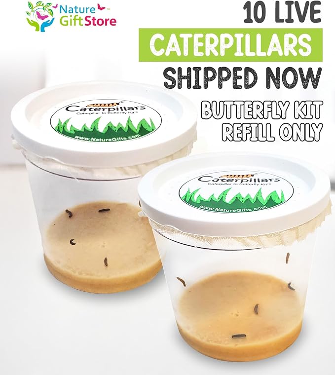 10 Live Caterpillars for Butterfly Kits, Painted Lady Refill with Food | Watch caterpillar to butterfly metamorphosis: includes food, instructions, hands-on science for kids, guaranteed live arrival