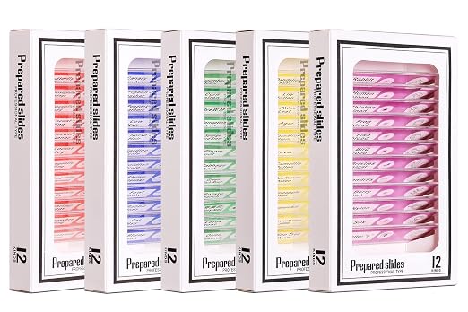 Prepared Plastic Microscope Slides with Specimens for Kids, Microscope Sample Slides Full Range of Animal/Plant/Insect/Blood Biology Slides Gift Set for Kids Microscope (60PCS)