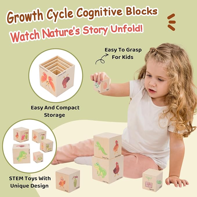 Wooden Life Cycle Nesting Blocks, Montessori Preschool Learning Toy | For Animal Life Cycles, Stacking & Sorting Blocks, Nesting Cube Boxes,Educational Science Toy for Kids 3+ (5 Pcs)