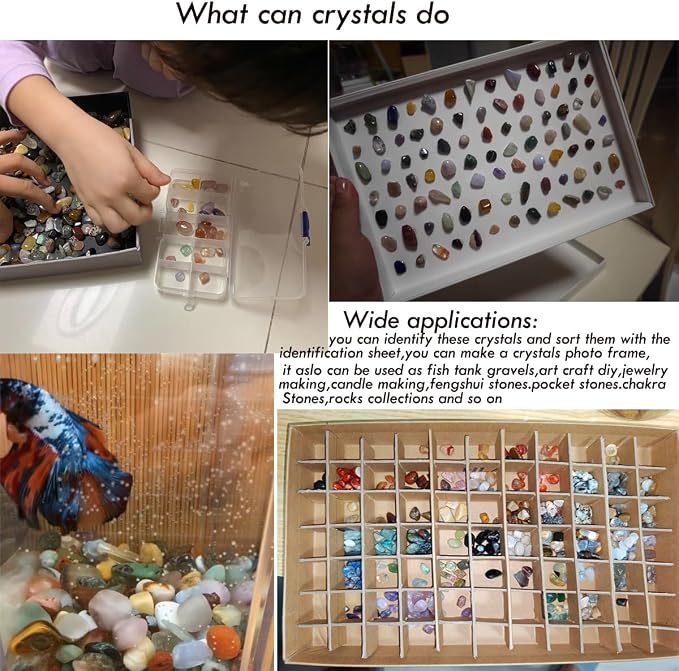 60Kinds+ Gemstones and Crystals Set,Bulk Tumbled Chips Crystals for Jewelry Making,Crushed Stones Rocks and Minerals Science Kit (0.55lb(60-65types))