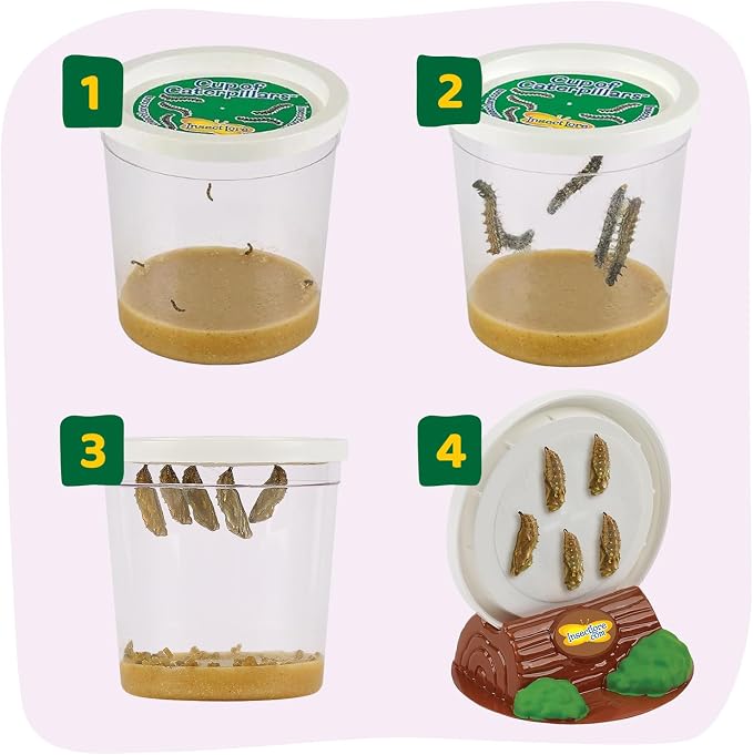 Insect Lore Raise and Release Butterfly Garden Kit – Caterpillar Habitat with redeemable Voucher – STEM-accredited Butterfly Growing Kit for Kids, Classrooms, and Homeschool Learning (Pack of 12)
