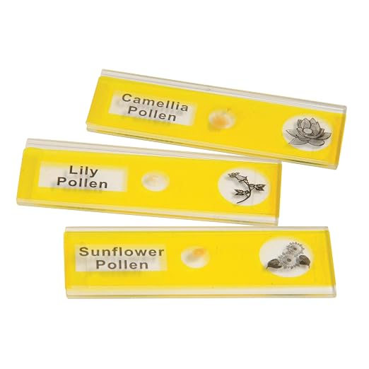 Prepared Microscope Slides for Kids – 12 Plastic Plant Specimens with Labels & Images – Safe, Durable Biology Science Kit for Students Ages 8+