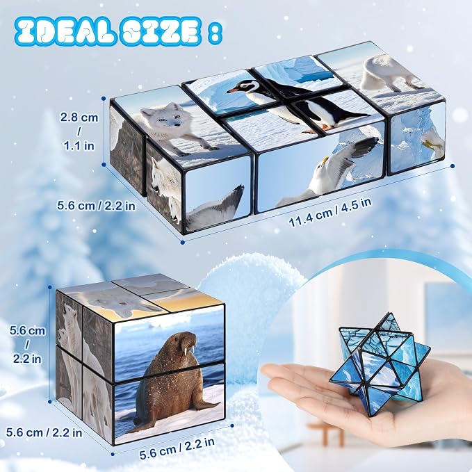 Euclidean Cube Fidget Toys for Kids 2 in 1 Star Cube Magic Cube Puzzle Toys | Fidget Cube for Kids and Adults, Yoshimoto Cube Travel Toy Stress Relief for All Age, Birthday Gifts for Boys Girls Ages 8-12