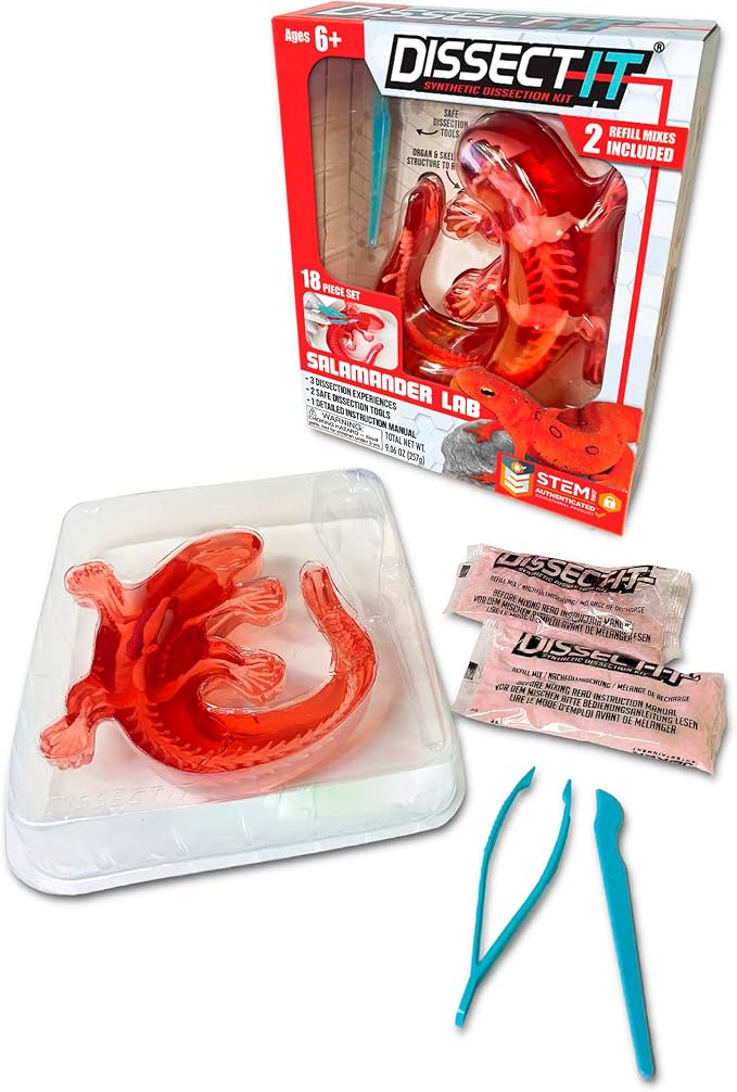 Dissect-It Kit for Kids, Simulated Synthetic Lab Dissection Toy, Salamander STEM Toys for Animal Science, Biology, and Anatomy | Salamander Anatomy, Examine Realistic Organs & Complete Skeleton, Then Rebuild with 2 Gel Refill Packs for STEM Learning
