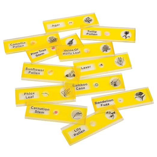 Prepared Microscope Slides for Kids – 12 Plastic Plant Specimens with Labels & Images – Safe, Durable Biology Science Kit for Students Ages 8+