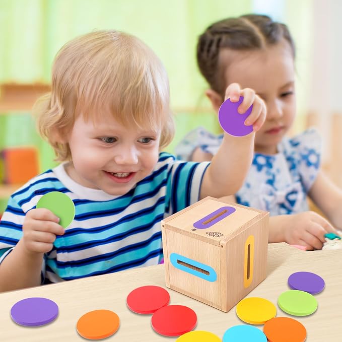 Montessori Toys for Toddlers 1-3 Color Sorting Wooden Object Permanence Box | Fine Motor Stacking Learning Matching Game for Toddlers 1 2, Educational Preschool Birthday Gift for 12-18 Month Boys Girls
