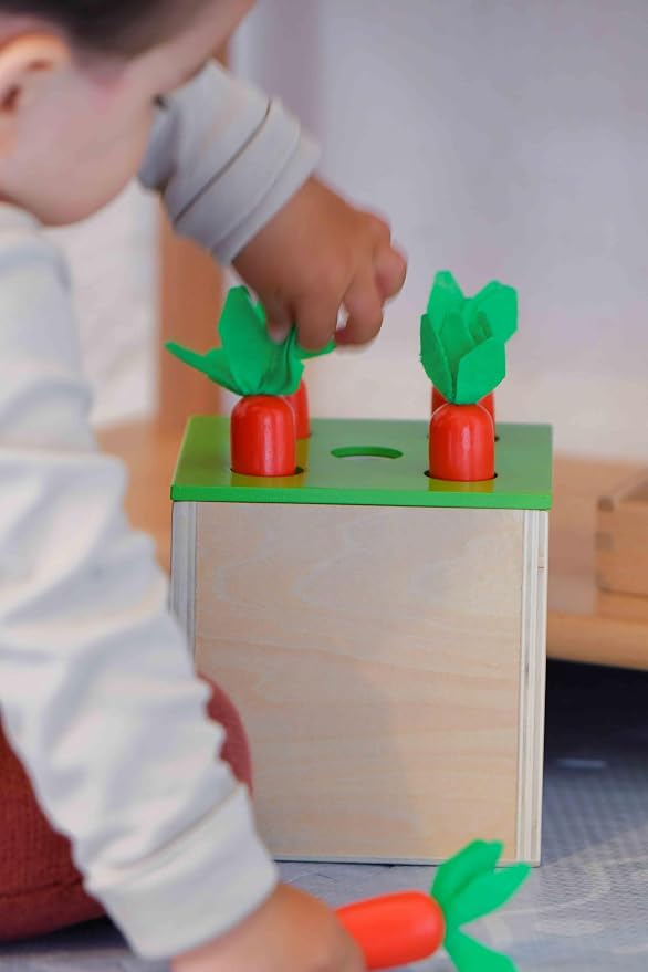 Adena Montessori 3 in 1 Wooden Play Kit for Babies 6-12 Months | Color drop, carrot harvest, coin box boost motor, logic and color sorting. Bright wood for toddlers independent play.