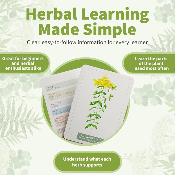 Herb Notes Plant Identification Cards, 48 Illustrated Botanical Flash Cards | Herb Cards for Plant Identification, Nature Study & Classroom Learning, Compatible with Learning Herbs Wildcraft! Board Game