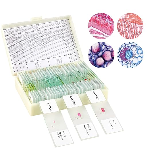 30 Microscope Slides with Specimens for Kids, Prepared Microscope Slides for Kids Microbiology, Glass Slides for Microscope, Biology Gifts for Adults Kids | Prepared Microscope Glass Slides Kit for Kids 8-12, Biology Slides Set Gifts for Students Child...