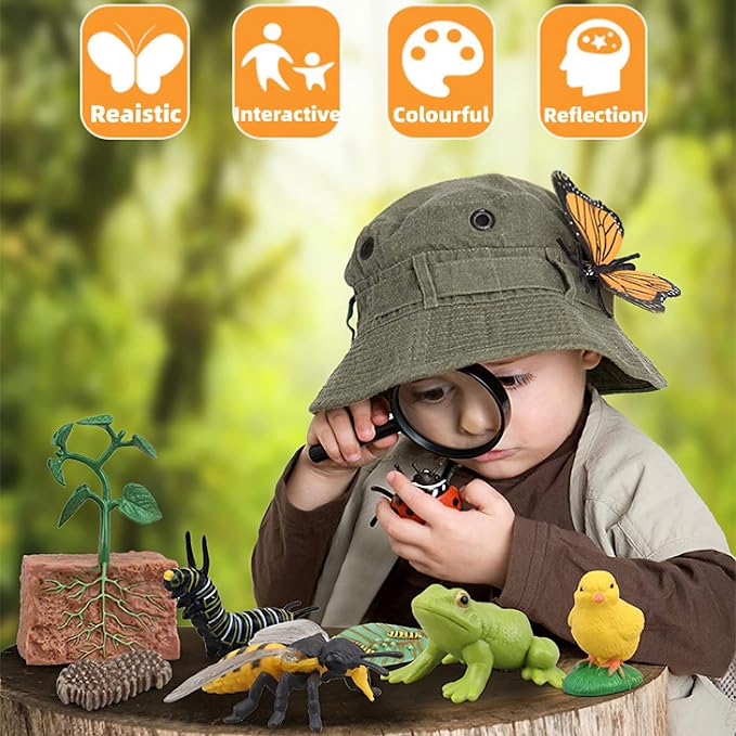 Montessori Life Cycle Animal Figurines Learning & Education Toys, Plastic Insect Life Cycle Toys for Kids, Preschool Learning Activities (Plant Bee Ant)